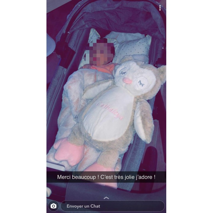 Chouette Peluche Personnalisée : le Gardien des Nuits de Bébé